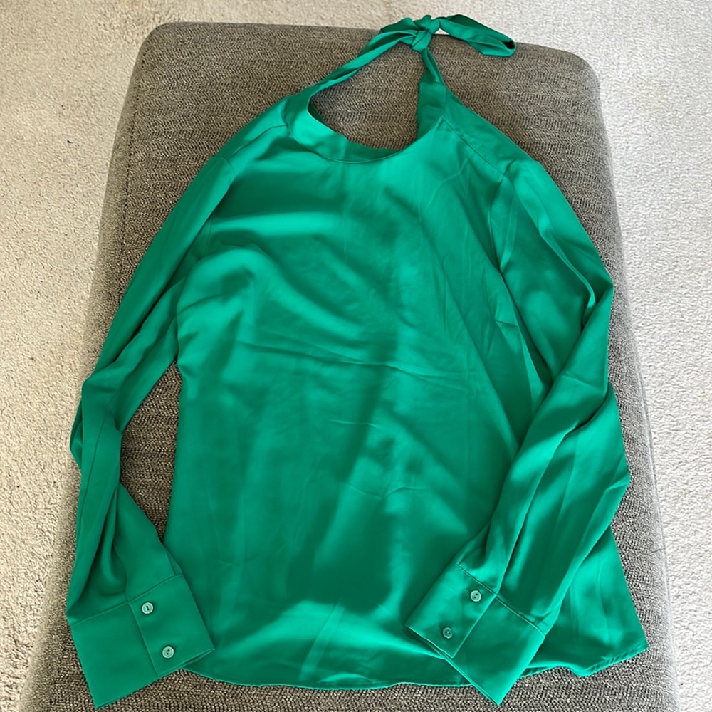 The Limited green long sleeve blouse size M